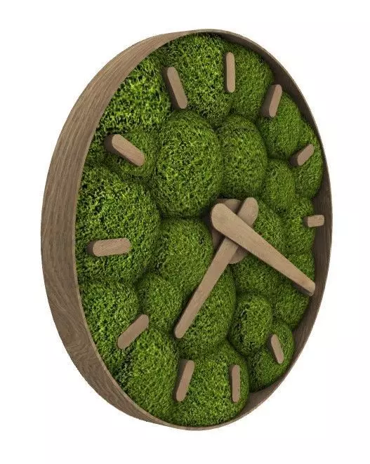 moss clock Free 3D model_0
