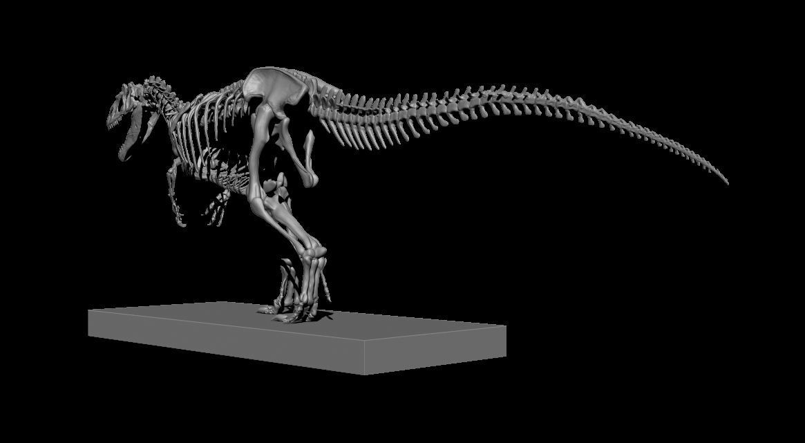 ALLOSAURUS  CAMINANDO PARA ESCALA 1-20 3D print model_5