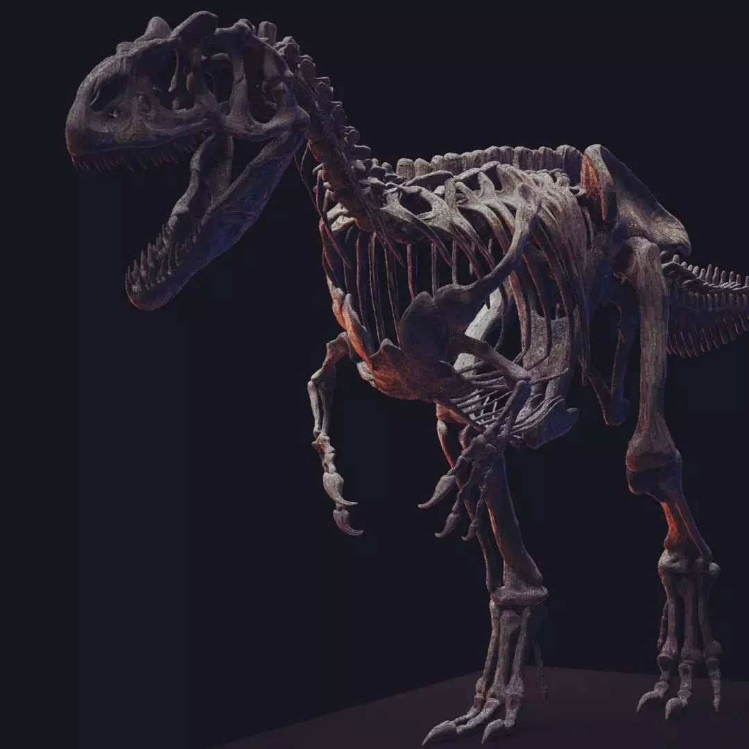 ALLOSAURUS  CAMINANDO PARA ESCALA 1-20 3D print model_1