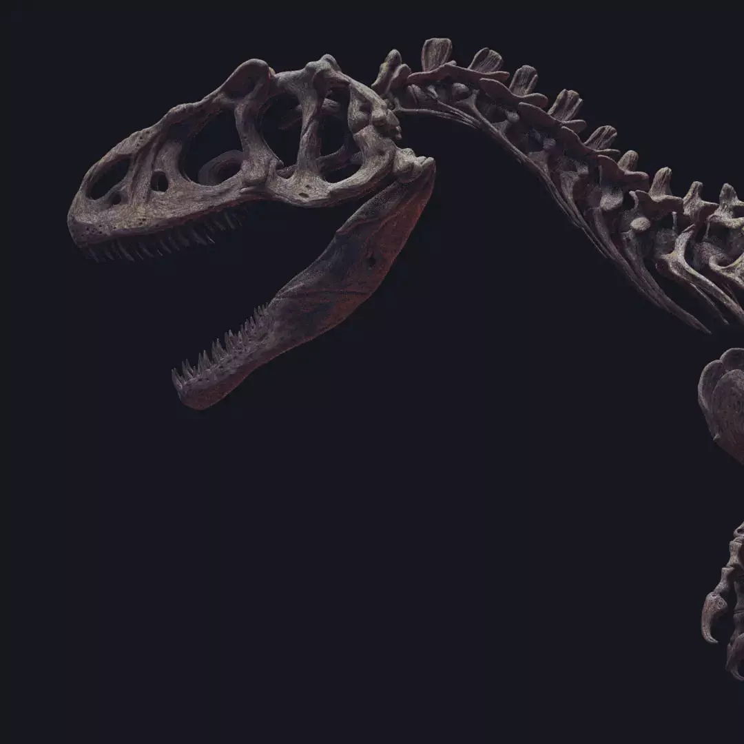 ALLOSAURUS  CAMINANDO PARA ESCALA 1-20 3D print model_0