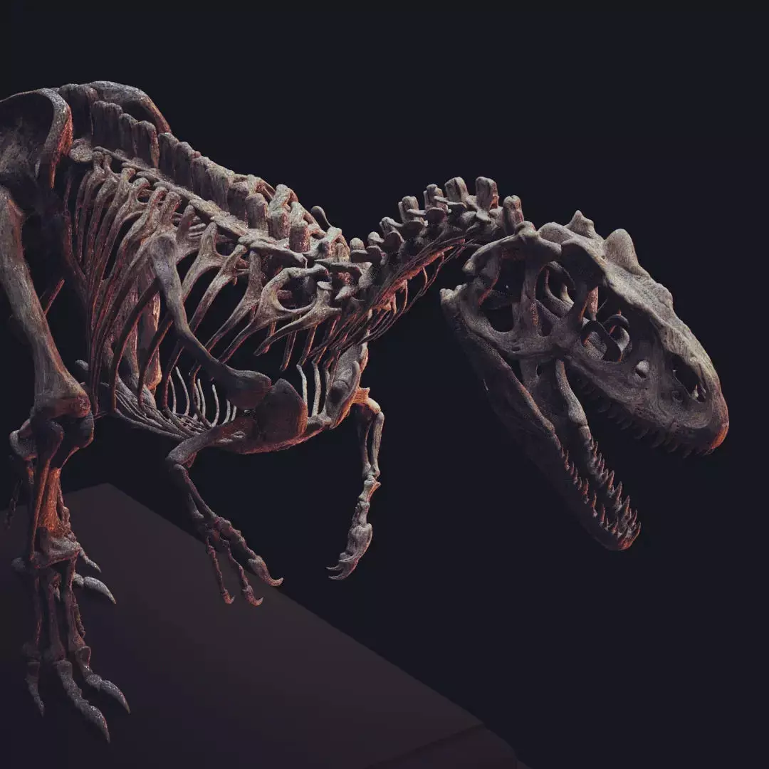 ALLOSAURUS  CAMINANDO PARA ESCALA 1-20 3D print model_2