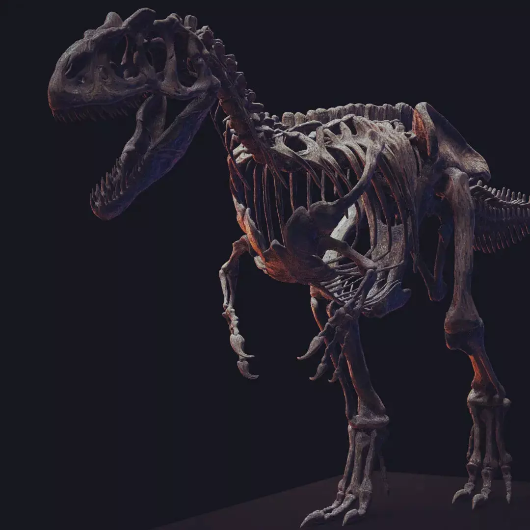 ALLOSAURUS  CAMINANDO PARA ESCALA 1-20 3D print model_4