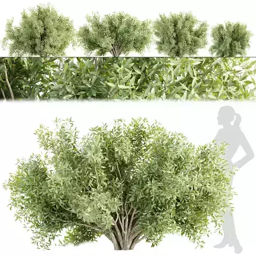 Bushes for garden collection vol 210 3D model