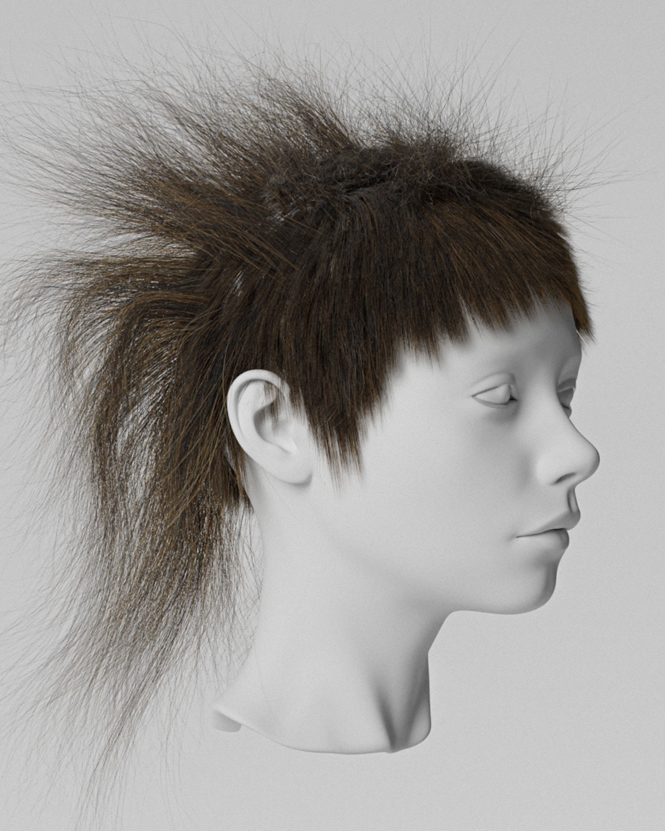 Female Hair iroquois 3D model_1