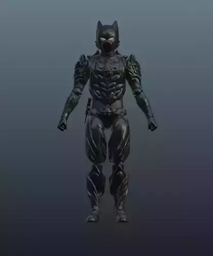 Shadow 3D print model