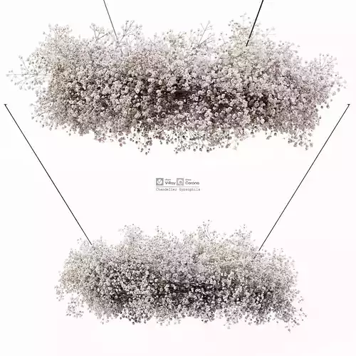 Chandelier Gypsophila