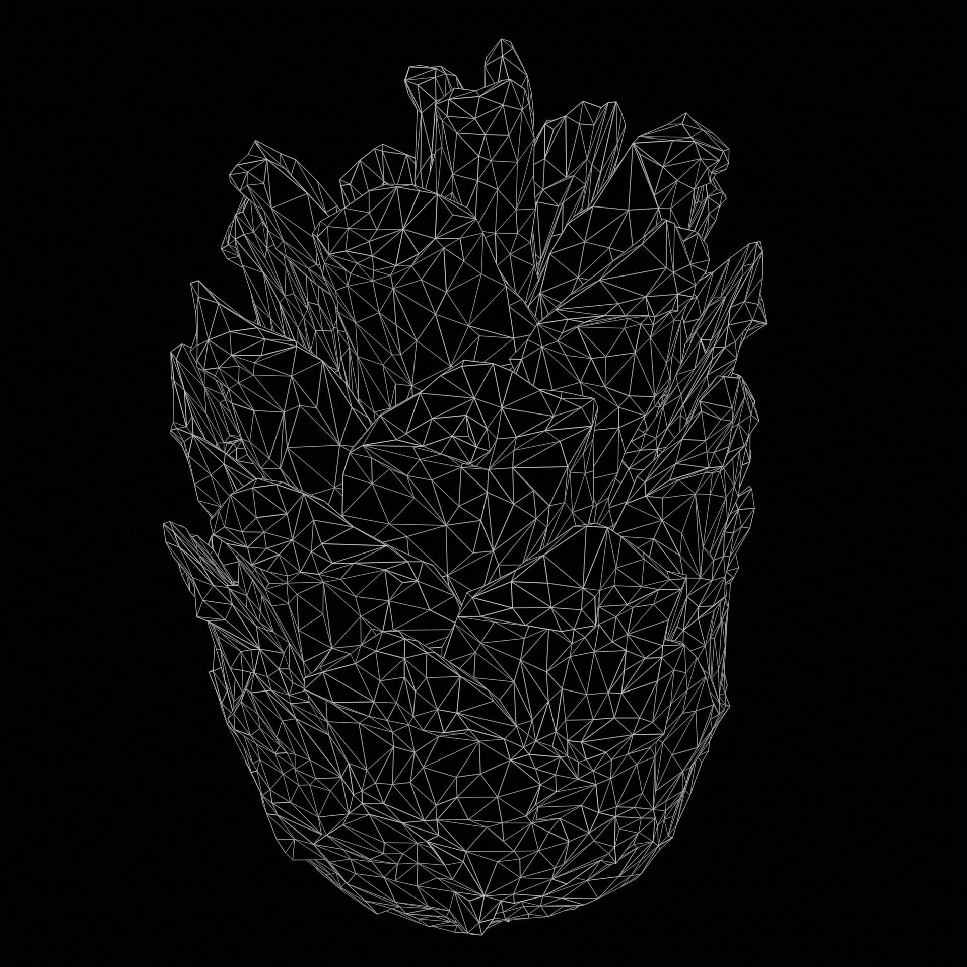 cone pine 3D model_4