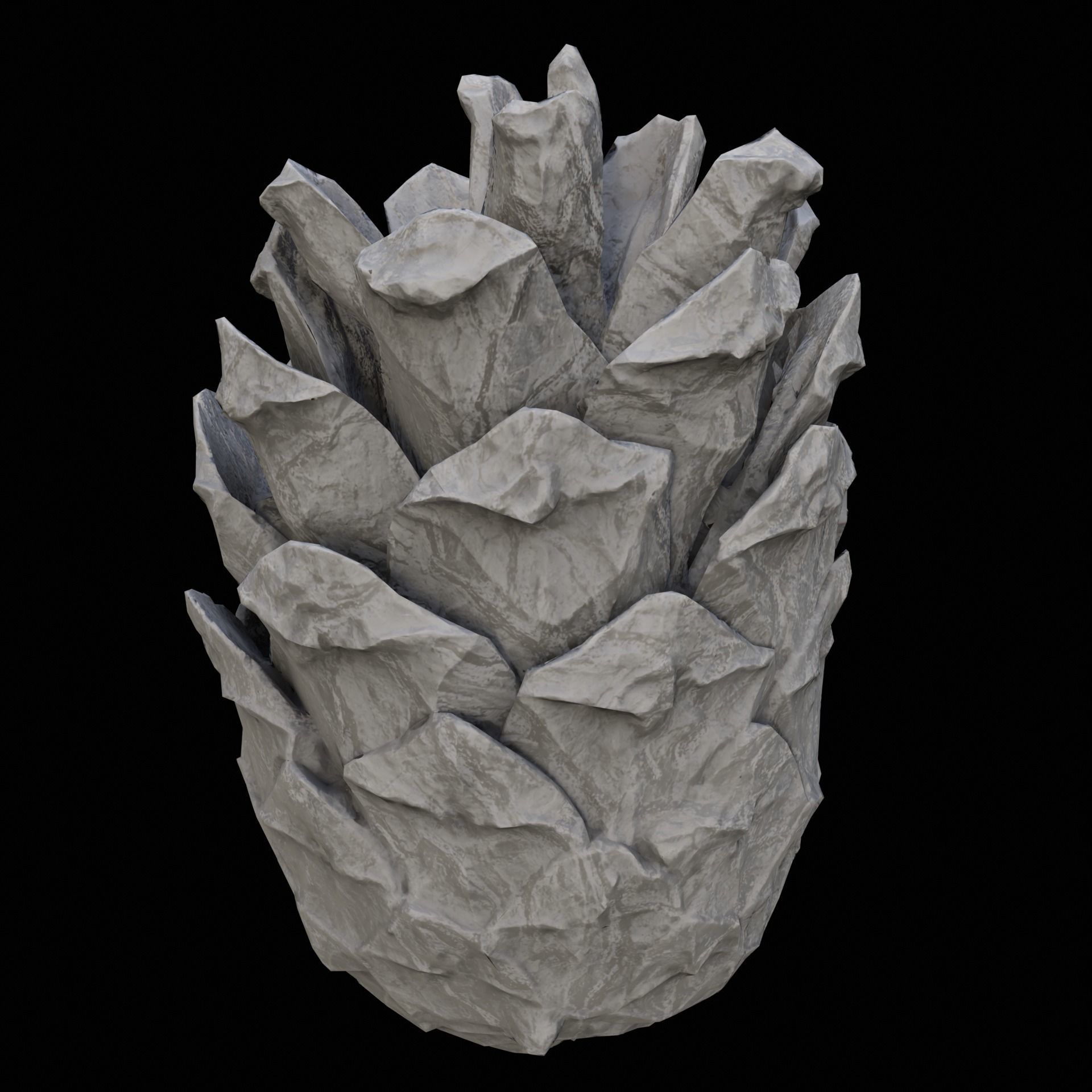 cone pine 3D model_2