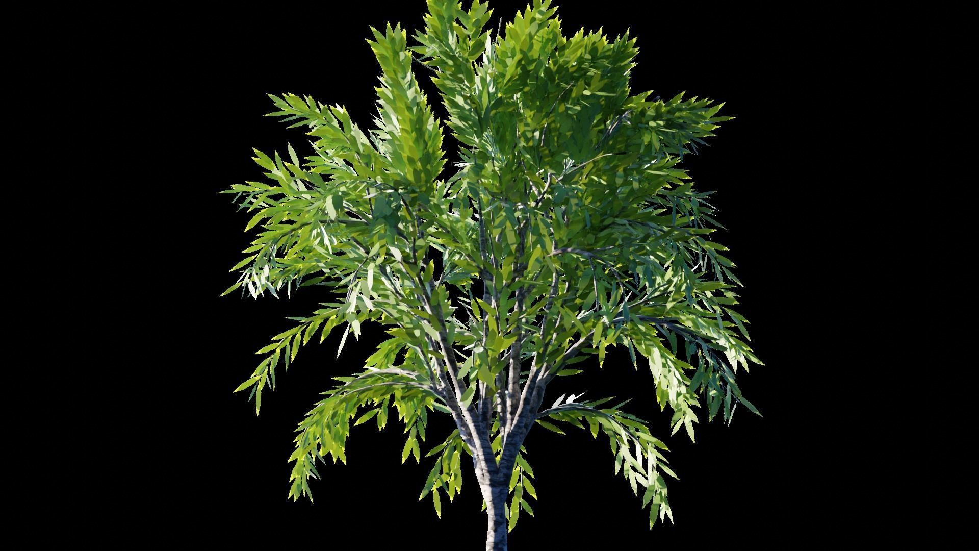 Realistic Trees Pack - Red Green Trees Low-poly 3D model_1