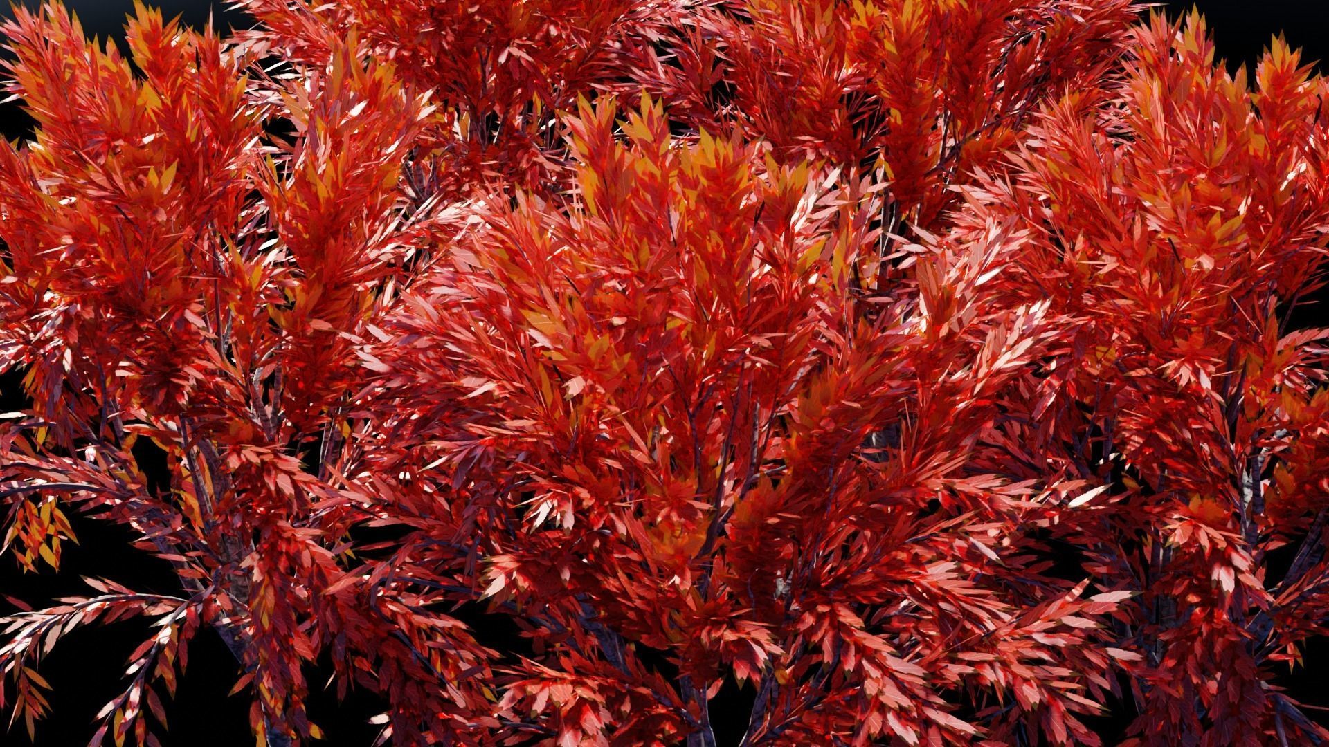 Realistic Trees Pack - Red Green Trees Low-poly 3D model_12