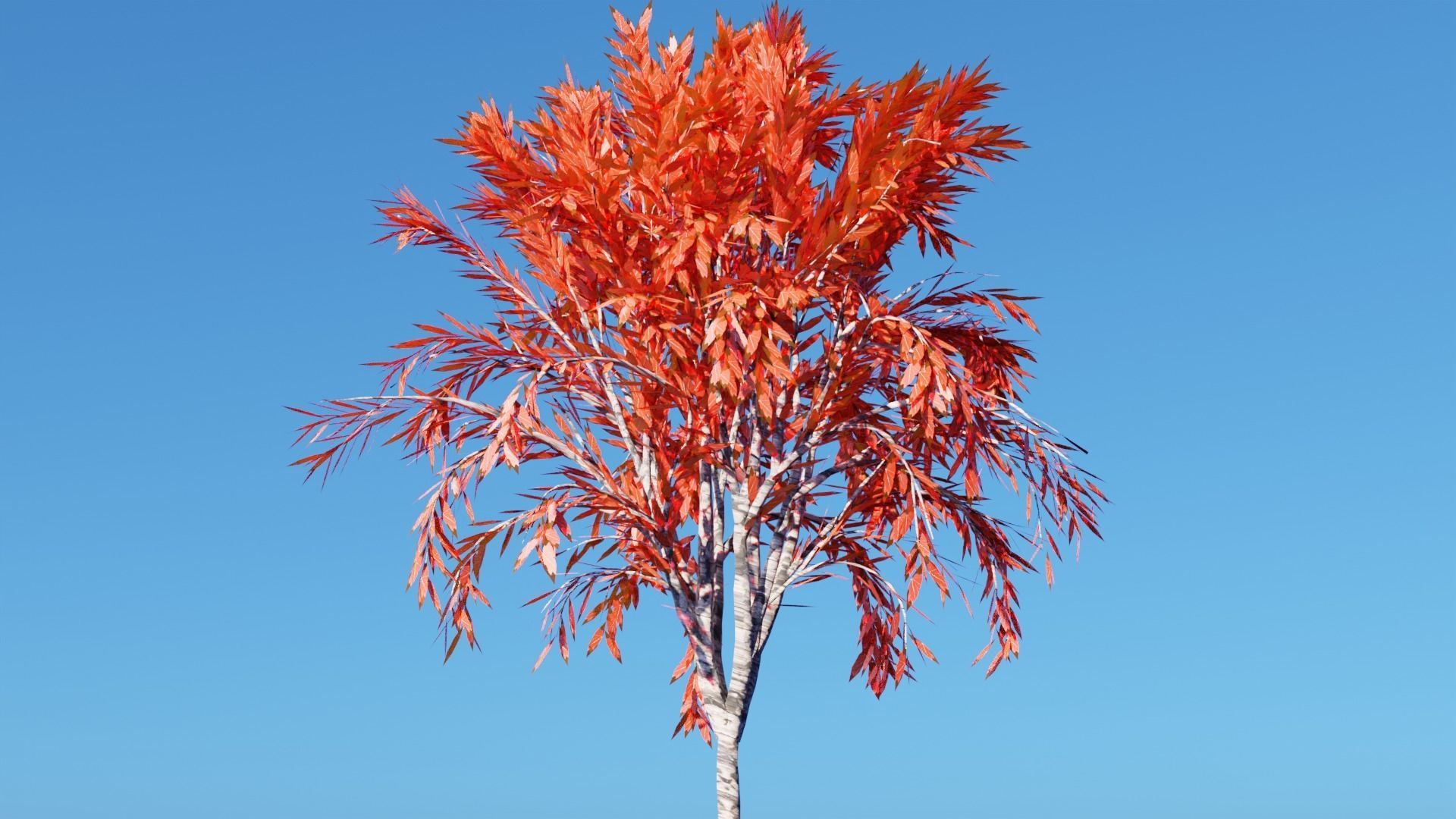 Realistic Trees Pack - Red Green Trees Low-poly 3D model_3