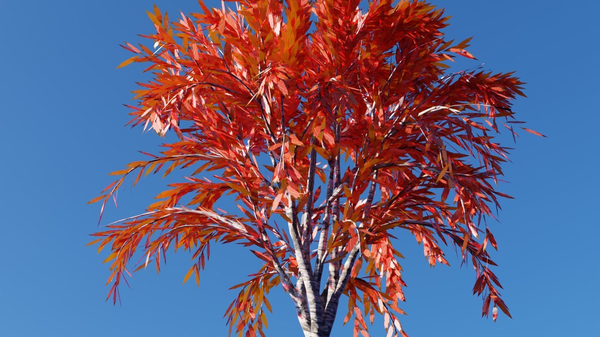 Realistic Trees Pack - Red Green Trees Low-poly 3D model_4