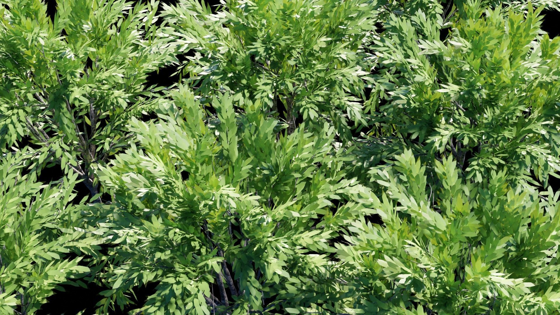 Realistic Trees Pack - Red Green Trees Low-poly 3D model_10