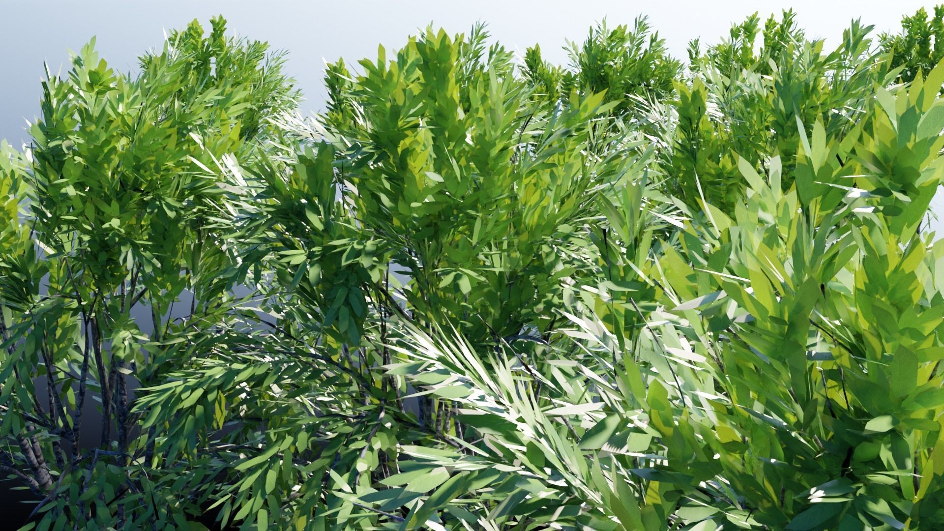 Realistic Trees Pack - Red Green Trees Low-poly 3D model_9