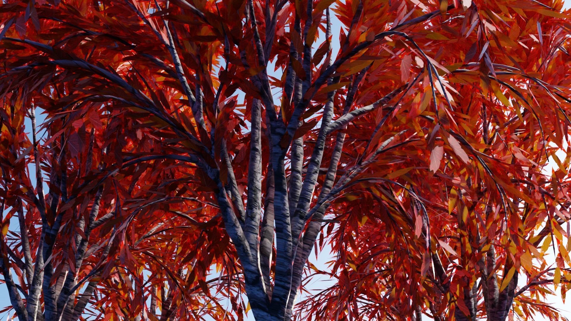 Realistic Trees Pack - Red Green Trees Low-poly 3D model_14