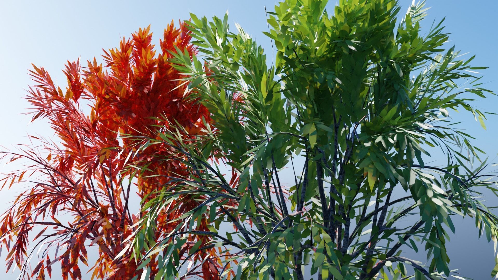 Realistic Trees Pack - Red Green Trees Low-poly 3D model_22