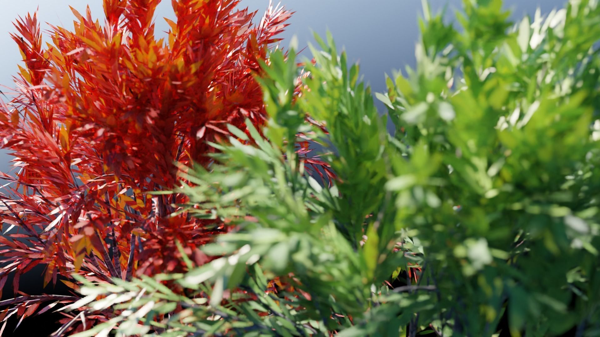 Realistic Trees Pack - Red Green Trees Low-poly 3D model_24