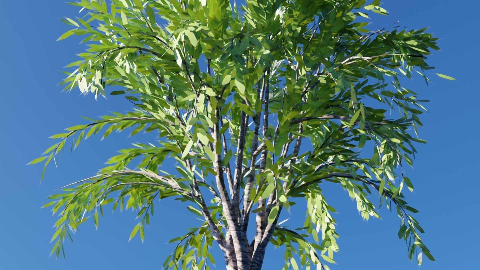 Realistic Trees Pack - Red Green Trees Low-poly 3D model_6