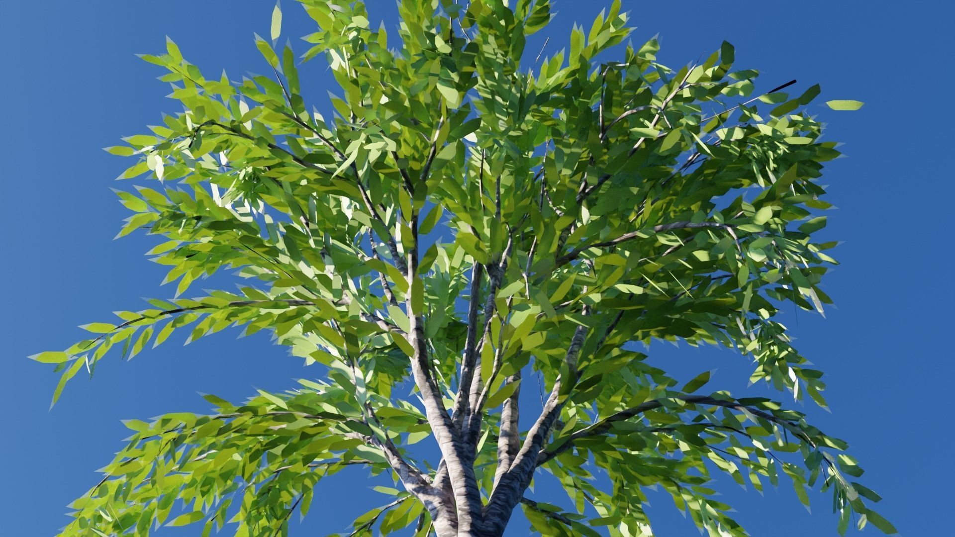 Realistic Trees Pack - Red Green Trees Low-poly 3D model_7