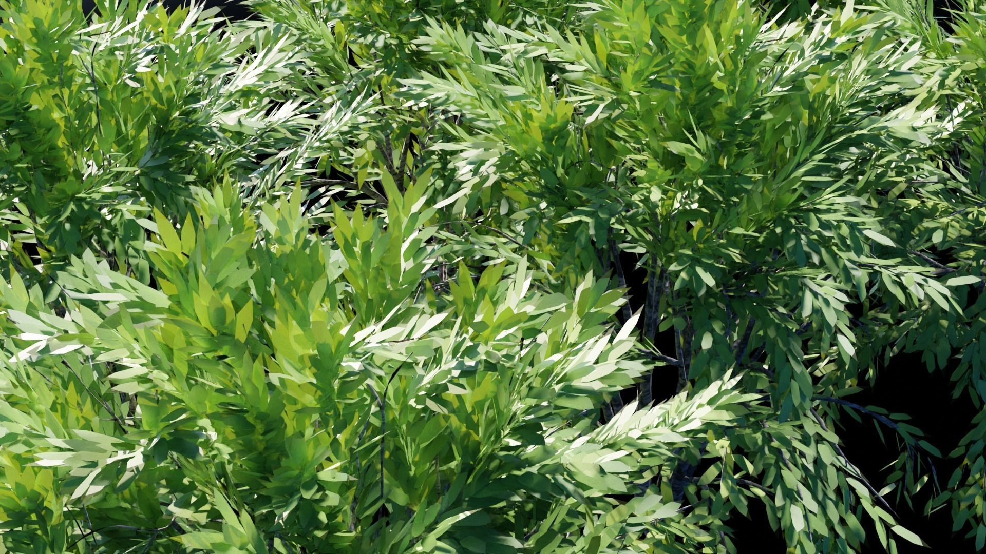 Realistic Trees Pack - Red Green Trees Low-poly 3D model_11