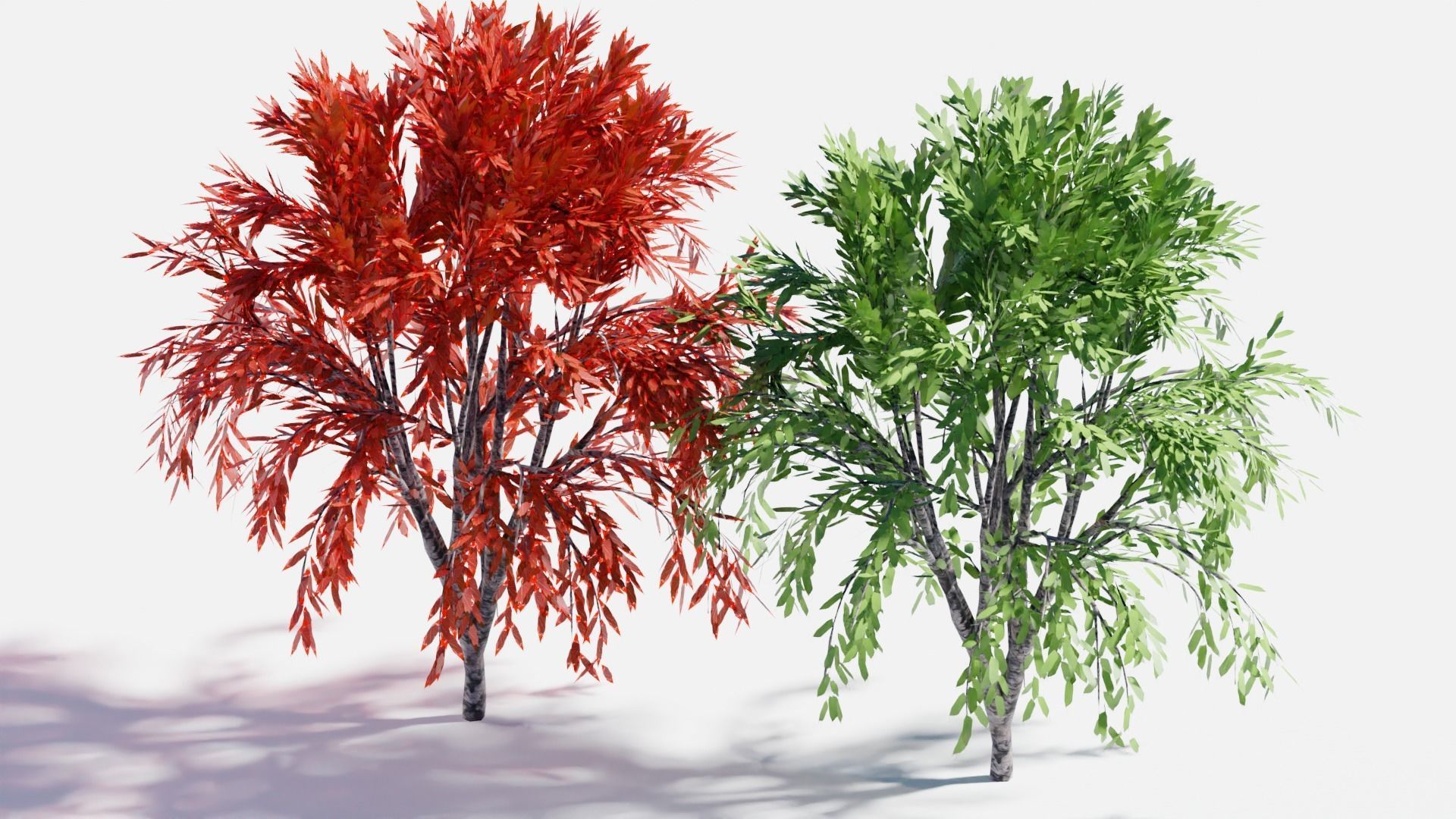 Realistic Trees Pack - Red Green Trees Low-poly 3D model_15