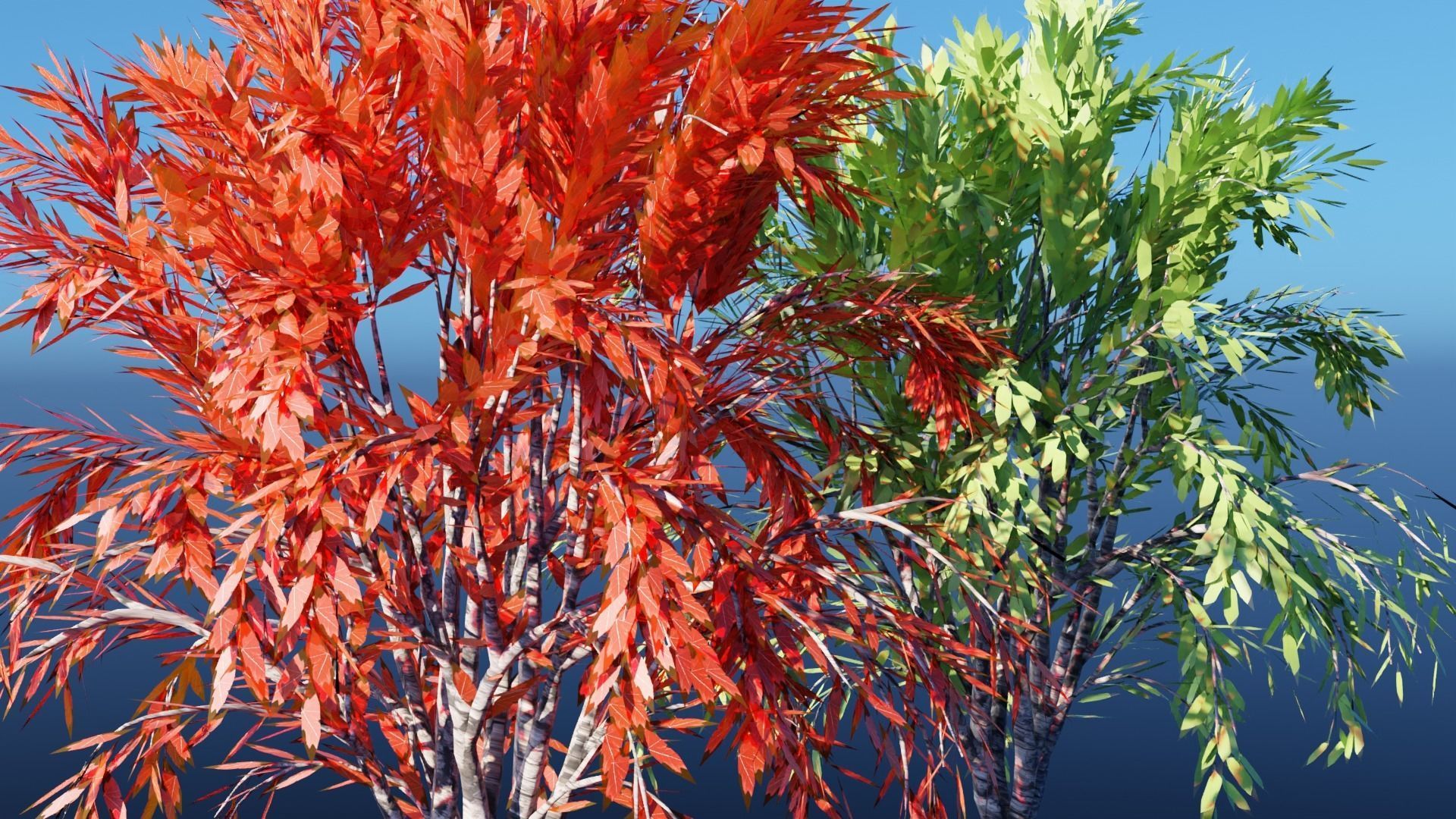 Realistic Trees Pack - Red Green Trees Low-poly 3D model_20