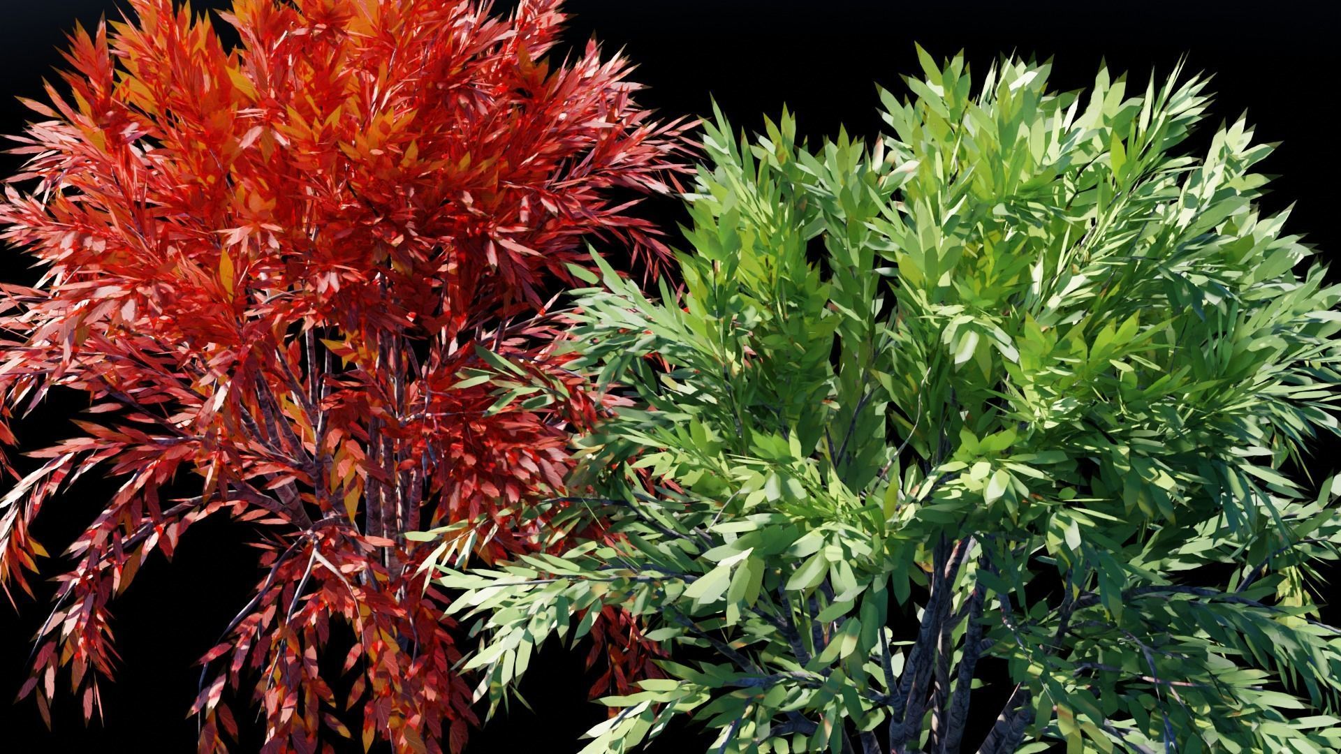 Realistic Trees Pack - Red Green Trees Low-poly 3D model_23