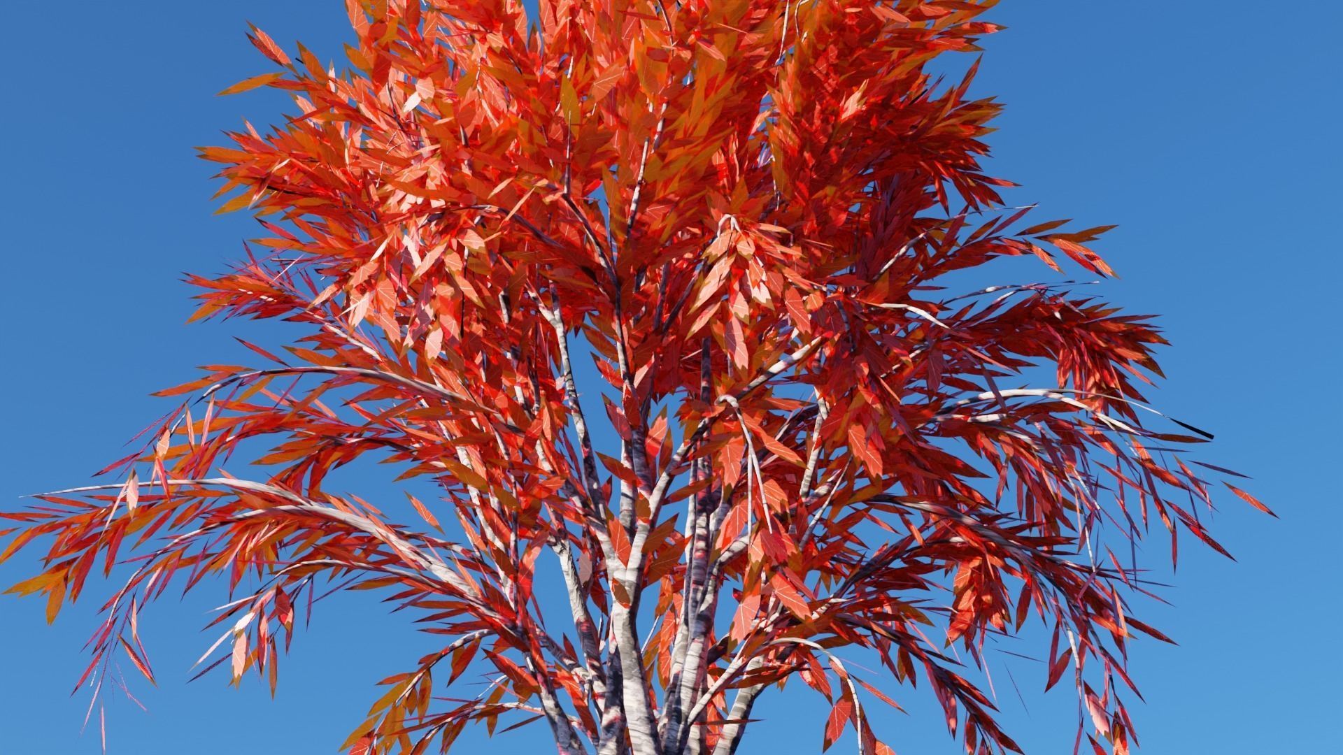 Realistic Trees Pack - Red Green Trees Low-poly 3D model_2