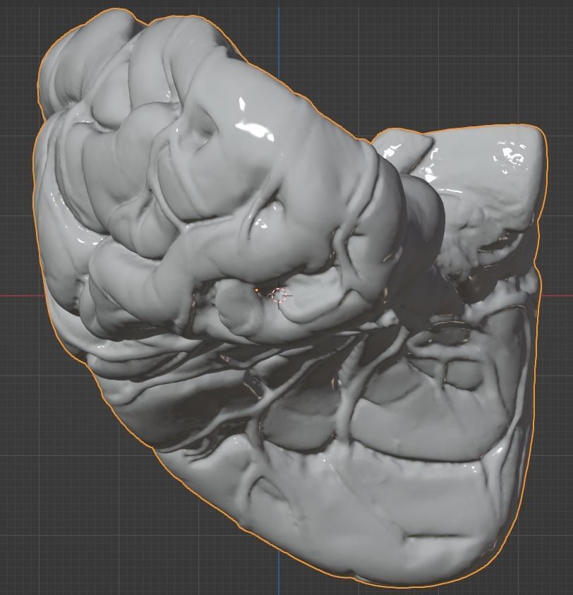 3D Model of Human Brain 3D model_31