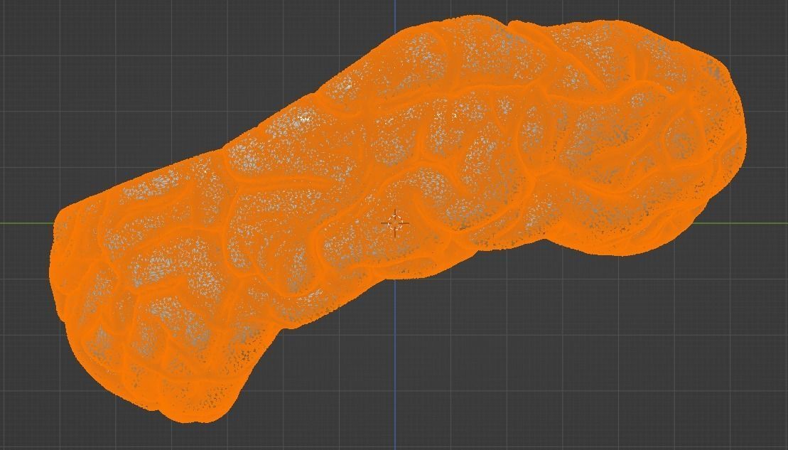 3D Model of Human Brain 3D model_38