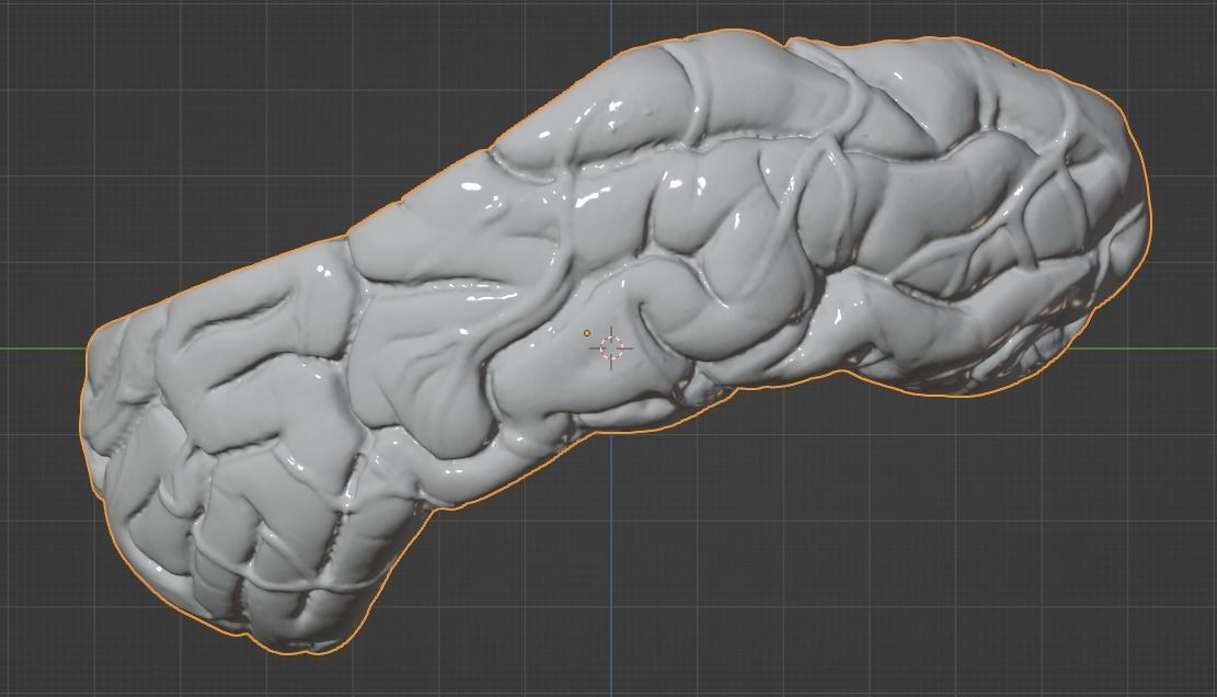 3D Model of Human Brain 3D model_37