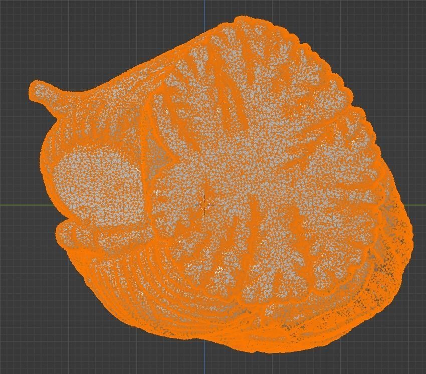 3D Model of Human Brain 3D model_46