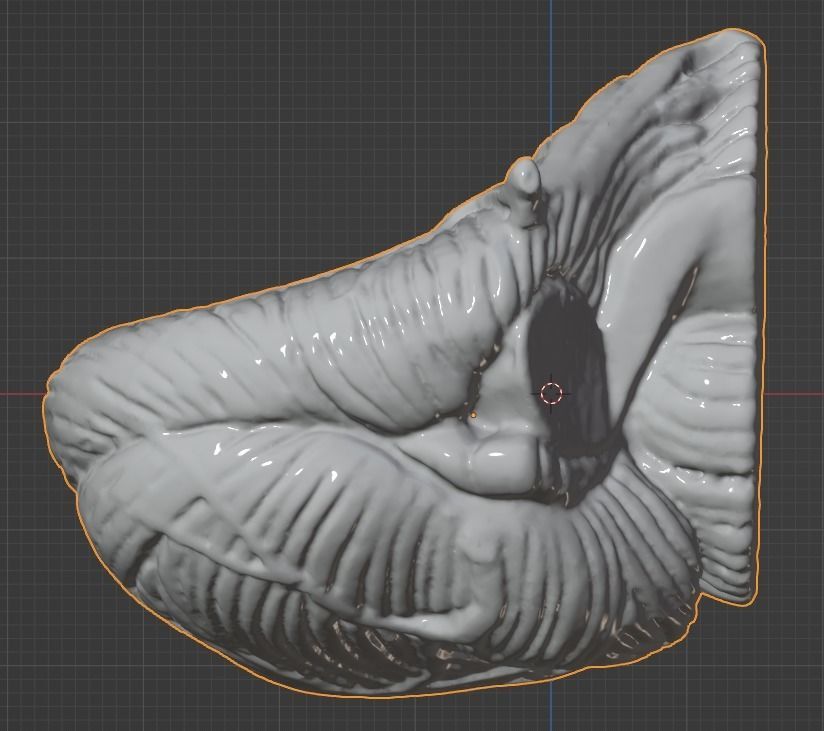 3D Model of Human Brain 3D model_41
