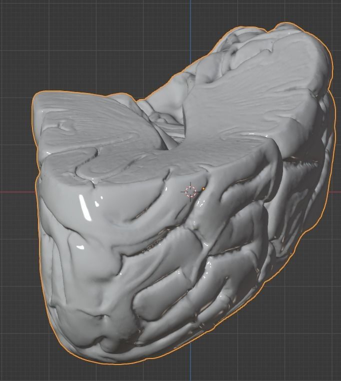 3D Model of Human Brain 3D model_33