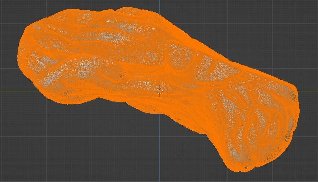 3D Model of Human Brain 3D model_36