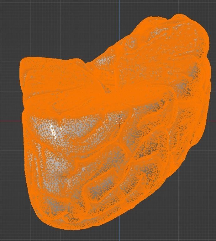 3D Model of Human Brain 3D model_34