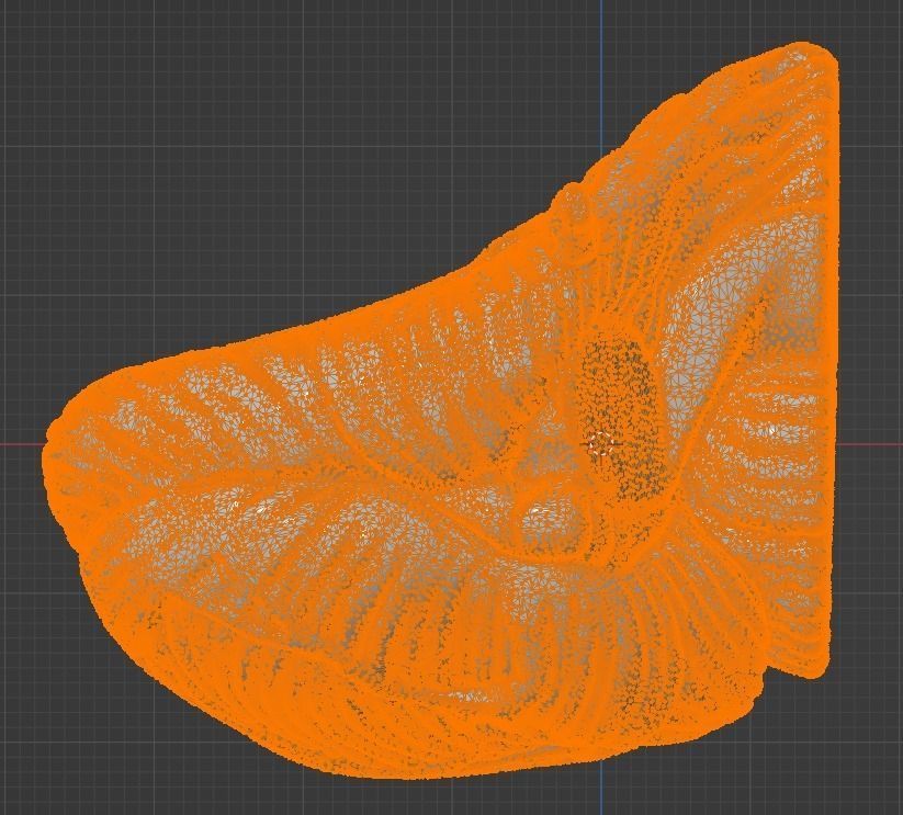 3D Model of Human Brain 3D model_42