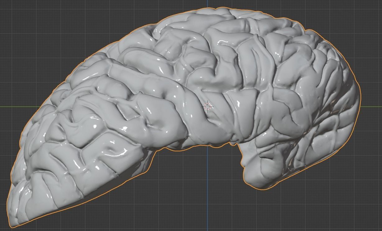 3D Model of Human Brain 3D model_30