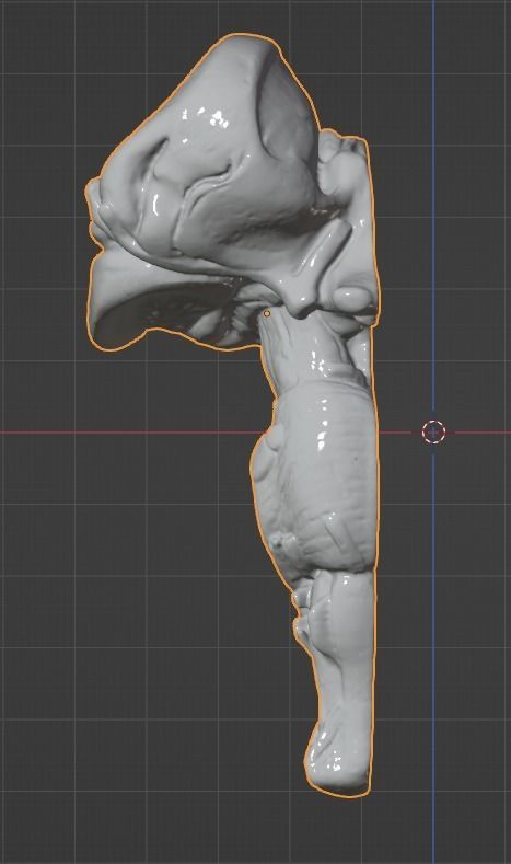 3D Model of Human Brain 3D model_47