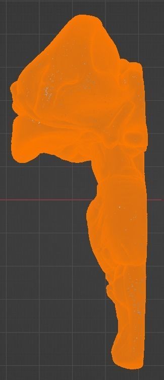 3D Model of Human Brain 3D model_48