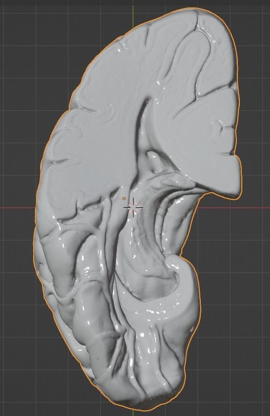 3D Model of Human Brain 3D model_39