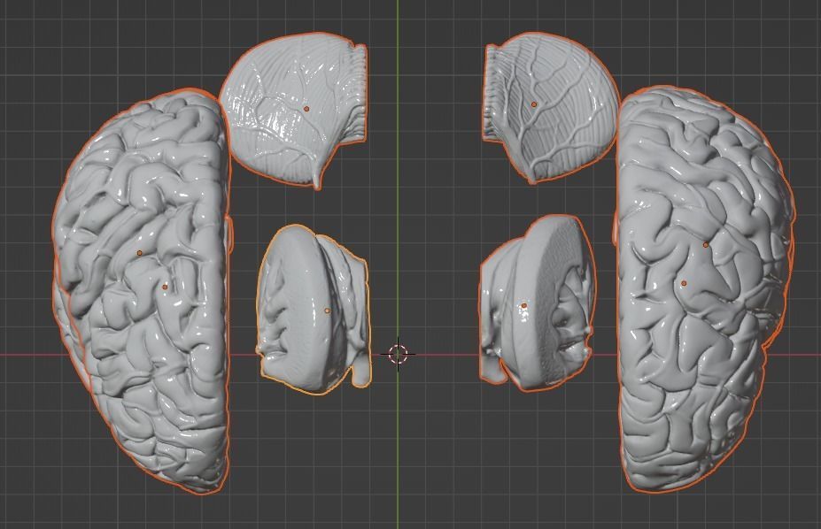 3D Model of Human Brain 3D model_23