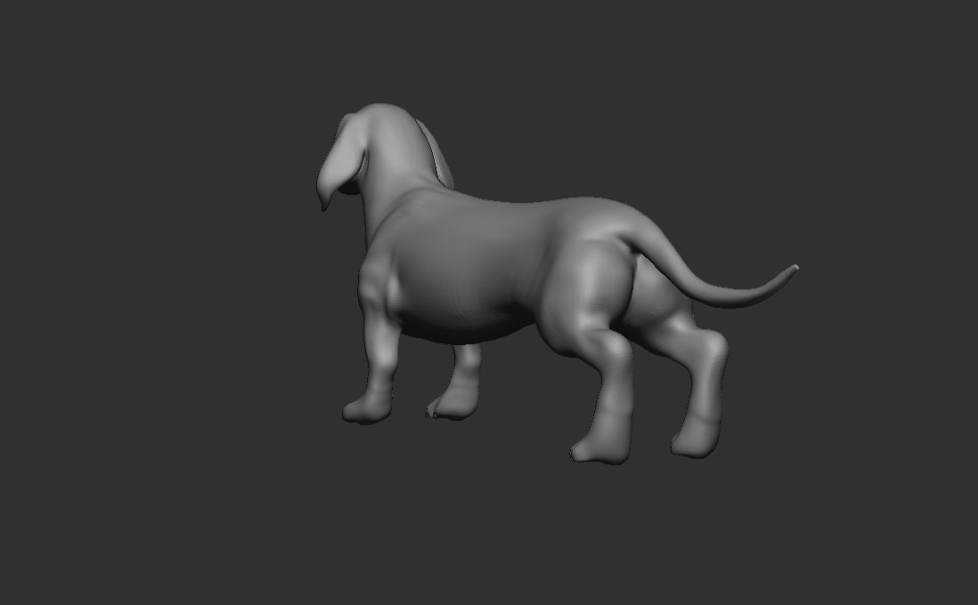 Dog Pack 3D Model Collection_14