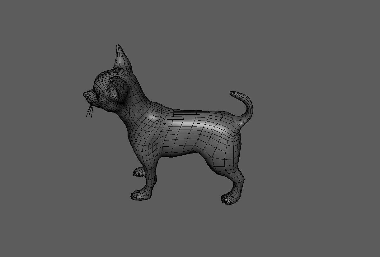 Dog Pack 3D Model Collection_26