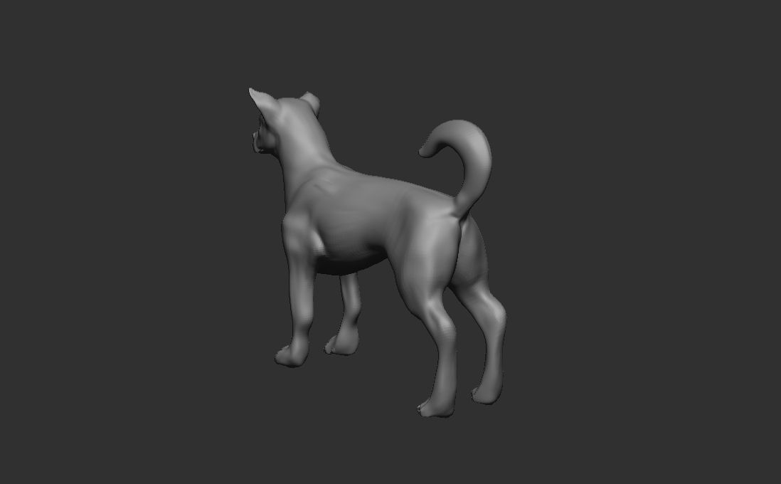 Dog Pack 3D Model Collection_8