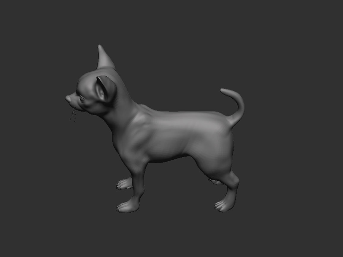 Dog Pack 3D Model Collection_25