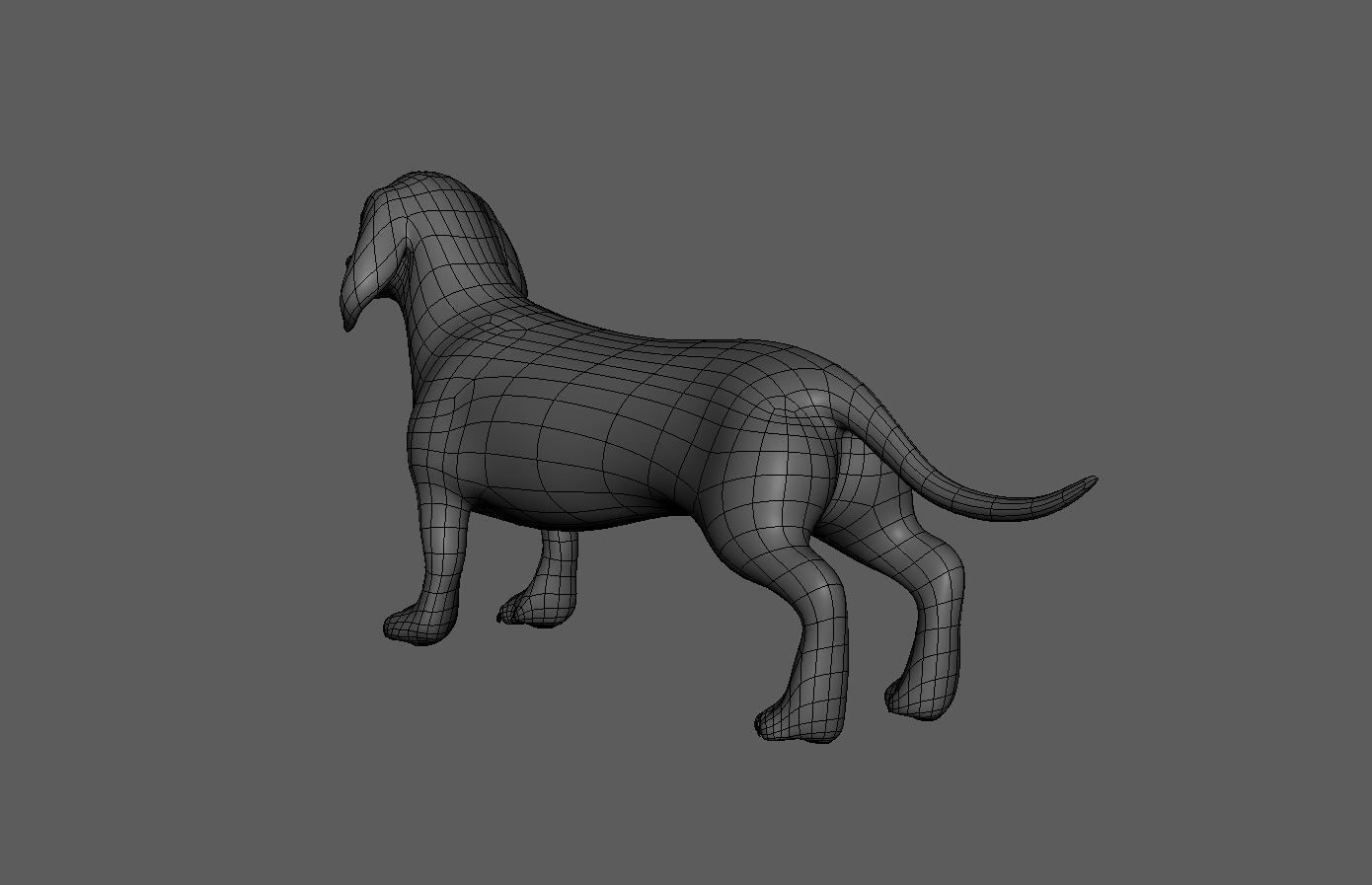 Dog Pack 3D Model Collection_15