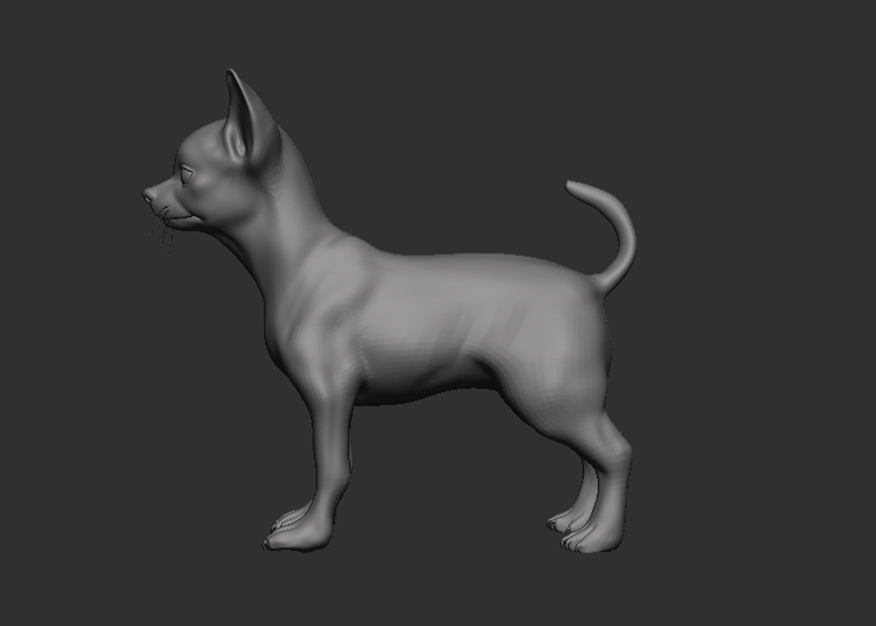 Dog Pack 3D Model Collection_22