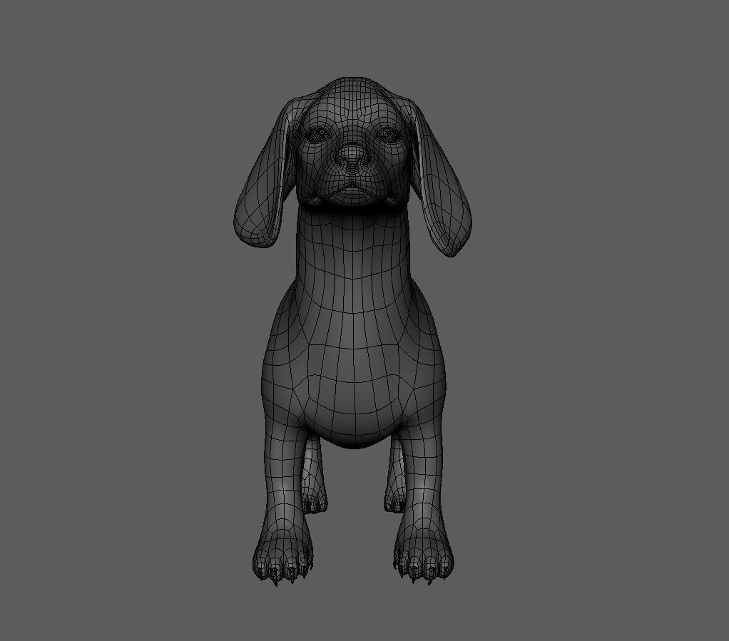 Dog Pack 3D Model Collection_17