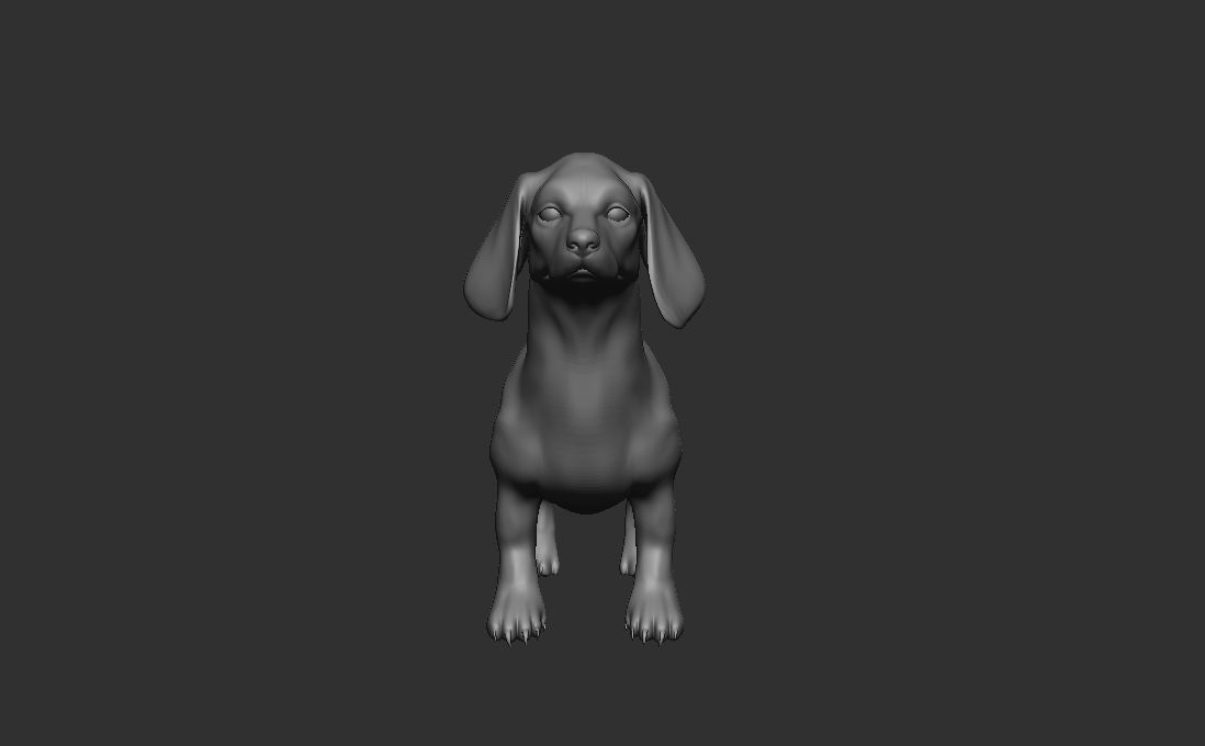 Dog Pack 3D Model Collection_16